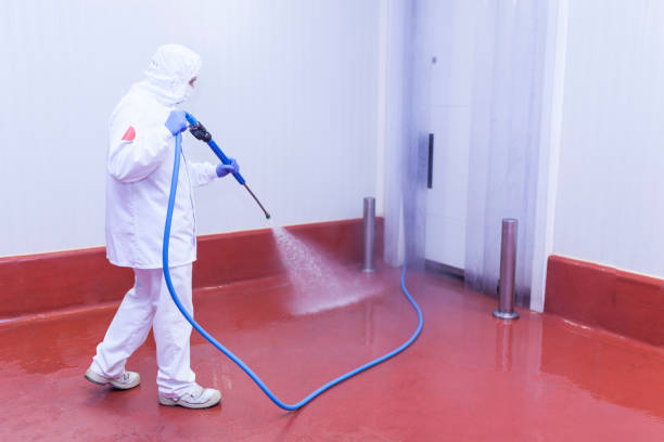 Best Building Exterior Washing  in New Chicago, IN