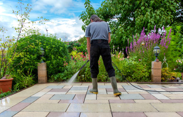 Best Animal Enclosure Cleaning  in New Chicago, IN