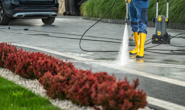 Best Fence Cleaning  in New Chicago, IN